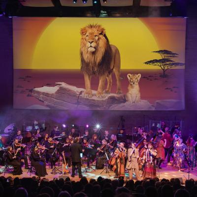 Der König der Löwen Tickets
