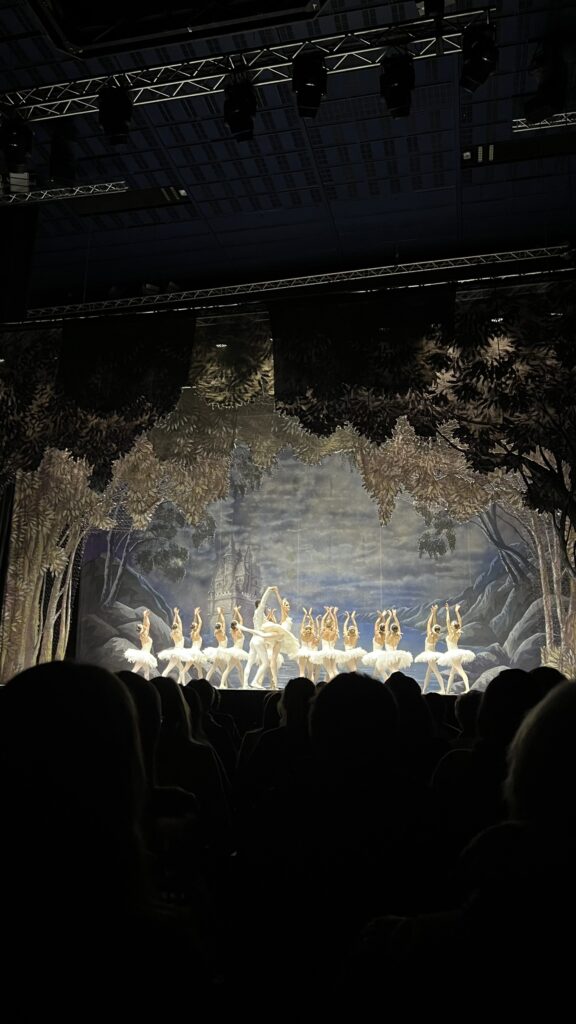 Ein Abend im Theater – Schwanensee live in Kiel