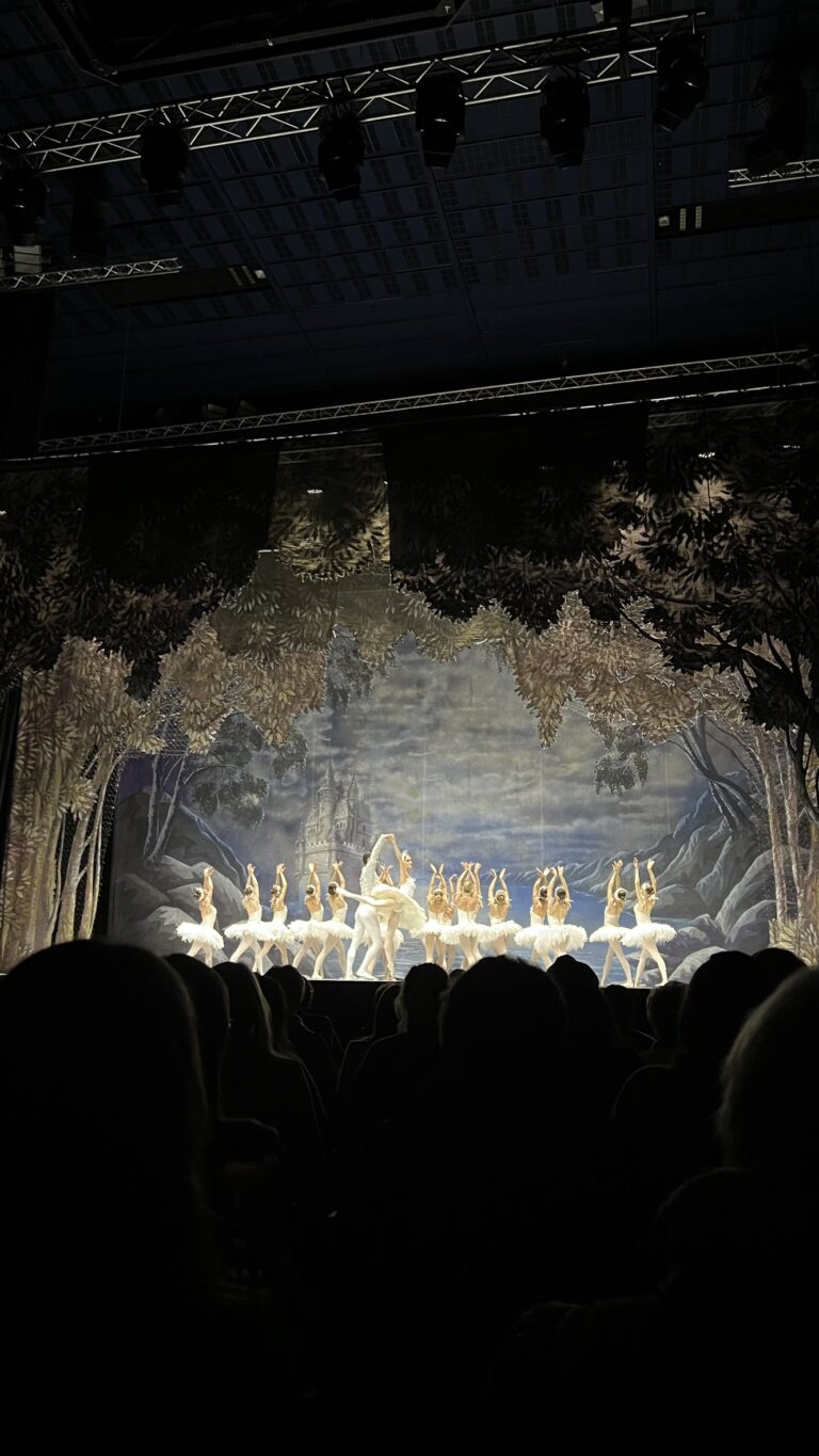 Ein Abend im Theater – Schwanensee live in Kiel